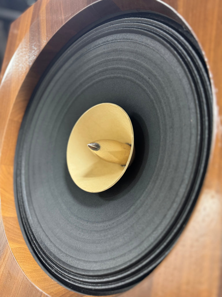 Full-range MACO driver in "Gold Flake".